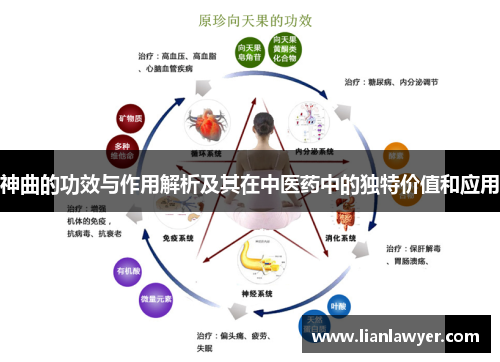 神曲的功效与作用解析及其在中医药中的独特价值和应用